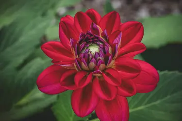 _A7R1083-SRGB.webp