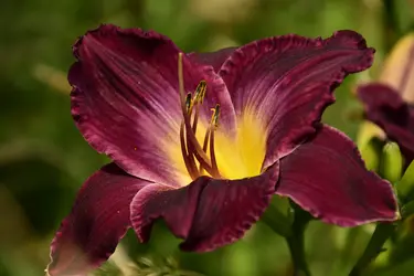 _DSC4105.webp