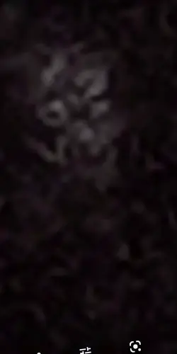 Screenshot_20201227-220528.webp