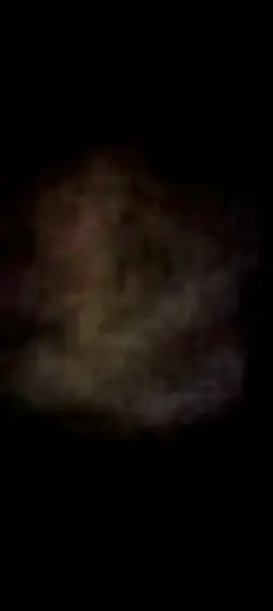 Screenshot_20250412-211810.webp