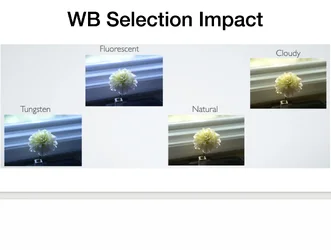 Screenshot 2025-08-28 at 6.26.23 PM.webp