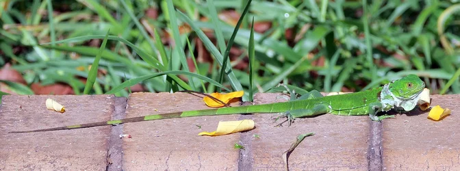 P1031916.webp