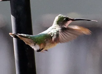 PB250043.webp