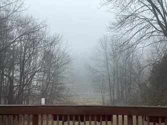 IMG_3068.webp