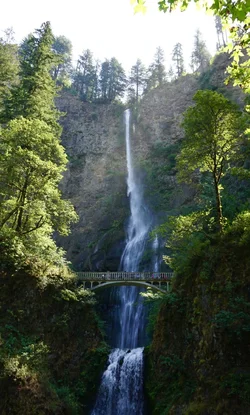 LRG_DSC00686.webp