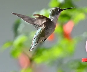 DSC_2853.webp