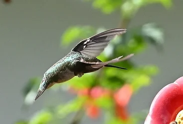 DSC_2885.webp