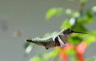 DSC_2887.webp