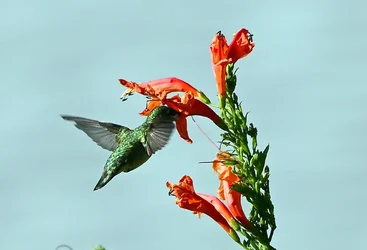 DSC_3328.webp