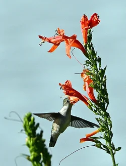 DSC_3353.webp