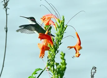 DSC_3385.webp