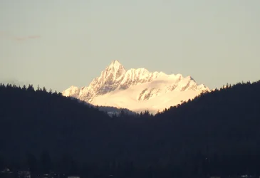 DSCN5211.webp