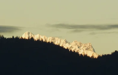 DSCN5217.webp
