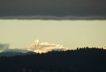 DSCN5225.webp