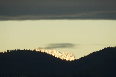 DSCN5226.webp