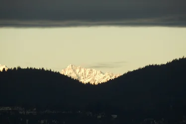 DSCN5227.webp