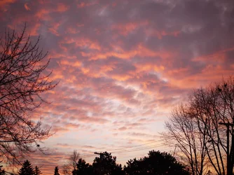P1030907aC1.webp