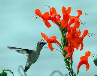 PC210002.webp