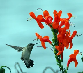 PC210003.webp