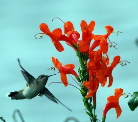 PC210004.webp