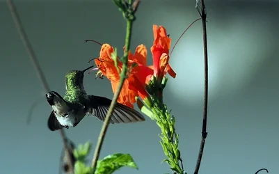 PC260143.webp