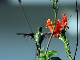 PC260150.webp