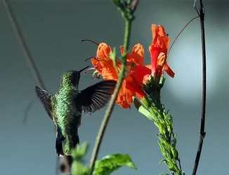 PC260151.webp