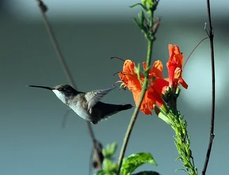 PC260153.webp