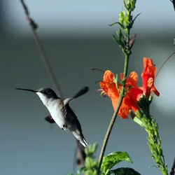 PC260154.webp