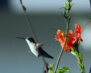 PC260155.webp