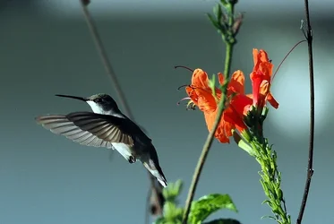 PC260156.webp
