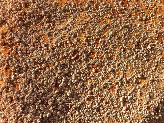 DSCN3932.webp