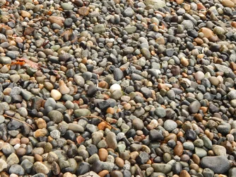 DSCN4840.webp