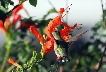 PC280366.webp