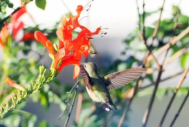 PC280386.webp