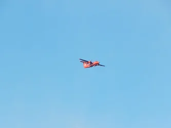 DSCN5619.webp