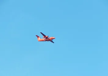 DSCN5620.webp