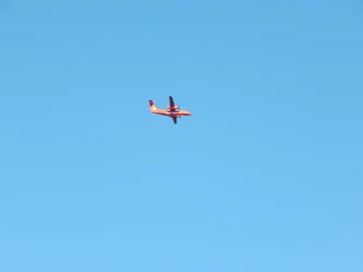 DSCN5621.webp