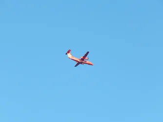 DSCN5622.webp