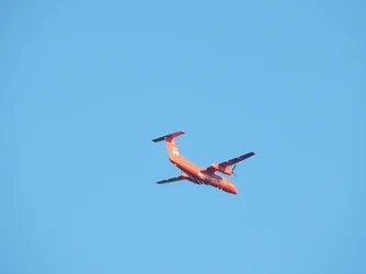 DSCN5623.webp
