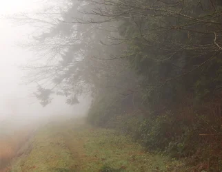 DSCN5727.webp