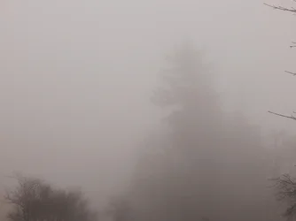 DSCN5729.webp
