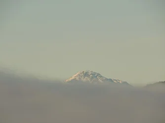 DSCN5700.webp