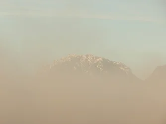 DSCN5707.webp
