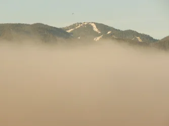 DSCN5709.webp