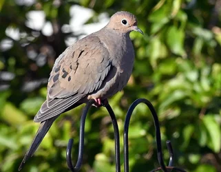 DSC_6619.webp