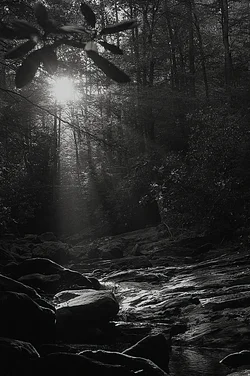BnW333.webp BnW333.webp