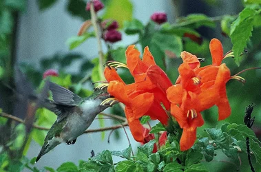 P2220568.webp