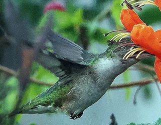 P2220569.webp