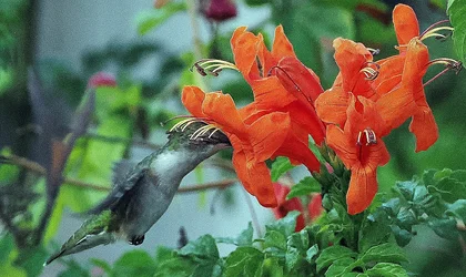 P2220572.webp